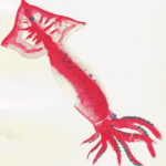 イカ釣りをしてみたい方へ！これを見ておけば、イカ釣りの基礎はバッチリ。【難しくないエギング講座！｜釣りよかでしょう。】